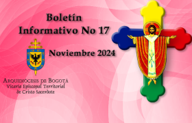 Boletín No 17